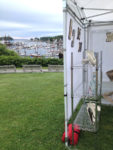 Harbor view from the Frog Song Designs booth, 2017 Harbor Arts Festival, Camden, Maine