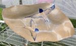 Stoneware bowl, sgraffito carved swallows design