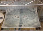 Photo of work in progress, drying platter