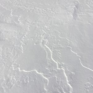 Photo of snow patterns