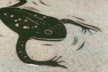 Ceramic tile, sgraffito carved frog design
