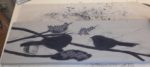 Backsplash tiles, sgraffito carved