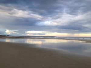 Photo of Wells Reserve at Laudholm