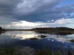 Photo of Wells Reserve at Laudholm
