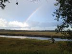 Photo of Wells Reserve at Laudholm