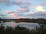 Photo of Wells Reserve at Laudholm