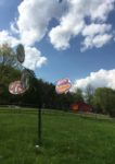 SculptureFest 2018 installation