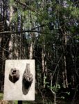 SculptureFest 2018 installation